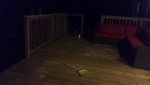 20150725_002911.jpg