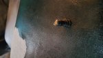 20150807_134111.jpg