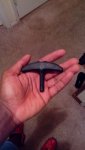IMG_20150921_182142.jpg