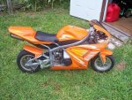 scooter x7 2 orange (2).jpg