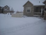 Snow.jpg