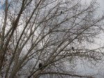 IMG_0033.JPG