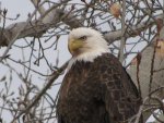 IMG_0035.JPG