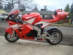 67420927_2-49CC-X2-POCKET-BIKE-Portland.jpg