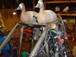 DSC01915.jpg
