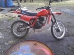 xr200r1.jpg