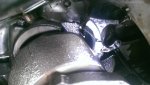 IMAG0933.jpg