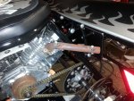 20160302_031456.jpg