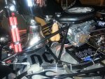 20160309_044653.jpg