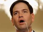 marco.jpg