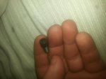20160316_001203.jpg