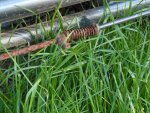 Rusty Brake Cable.jpg