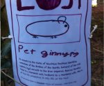 missing.jpg