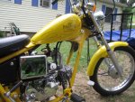 Yellow Pagsta 006.jpg
