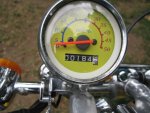 Yellow Pagsta 009.jpg
