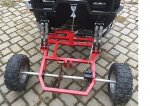 Buggy B.jpg