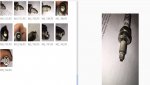 New AR3911 0.049 WOT.jpg