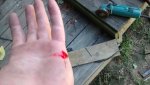 IMG_20160904_115536165.jpg