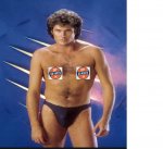 hoff.jpg