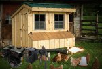 predator chicken coop.jpg