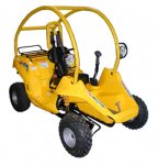 tarantula_go_cart_3_77761.jpg