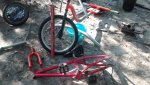 IMG_20160915_095035222.jpg