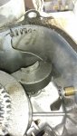 IMG_20160606_093252231.jpg