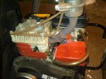 IMG00202-20100713-1904.jpg