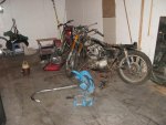 IMG_3728.jpg
