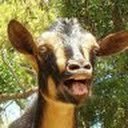 AIbEiAIAAABDCMnk8oOJlu6aICILdmNhcmRfcGhvdG8qKDMzNzZmYjRjNDgxNDYyMzljMDQ4YTAwMDdhZWIwNmM3ZTk4Y2I.jpeg