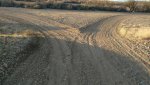 IMG_20170111_165859724.jpg