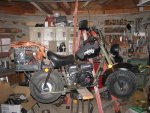 IMG_4023.JPG
