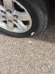 013.jpg