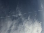 IMG_3737.jpg