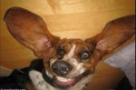 smile.jpg