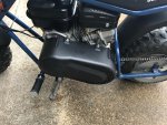 IMG_0221.jpg