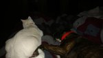 IMG_20170214_214028676.jpg