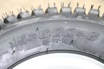 IMG_4256.jpg