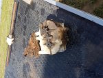 20170521_104117.jpg