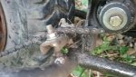 20170617_200611.jpg