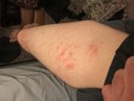 IMG_0379.jpg