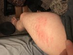 IMG_0378.jpg