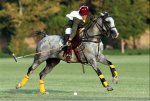Iranian_girl_polo_player.jpg