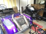 r1buggy 2.jpg