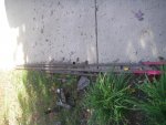 IMGP0278.jpg