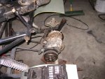 DSC01902.JPG