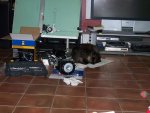 dogandengine.jpg