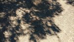 IMG_20170821_112934809.jpg