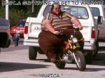 Fat Boy.jpg
