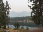 IMG_4561.jpg